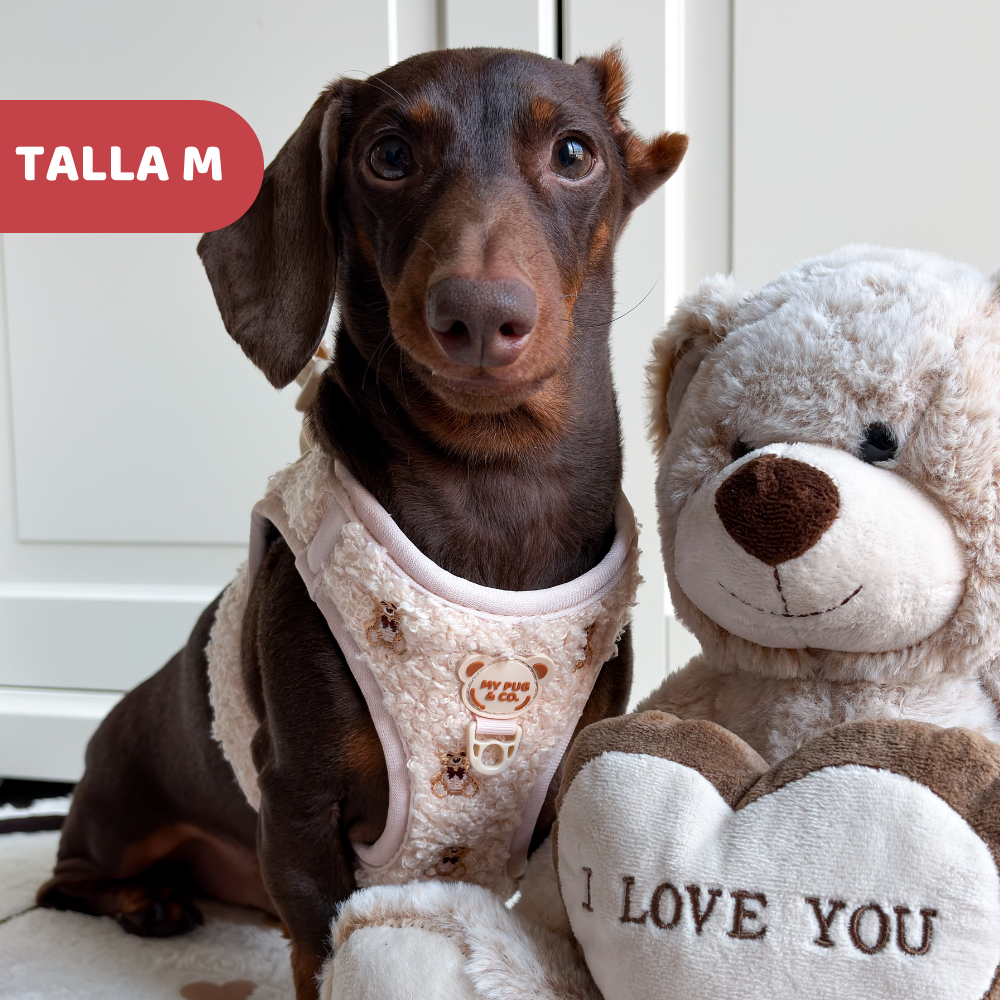 Teddy-Körpergeschirr