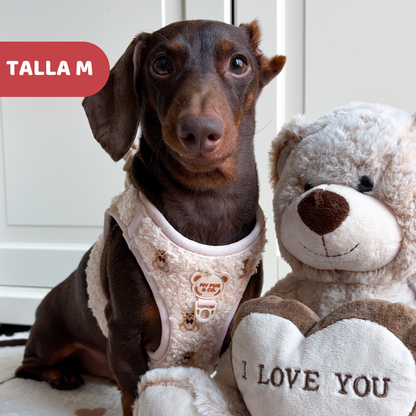 Teddy-Körpergeschirr