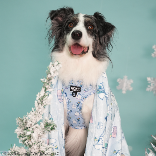 Manta Snoopy™️ Snow