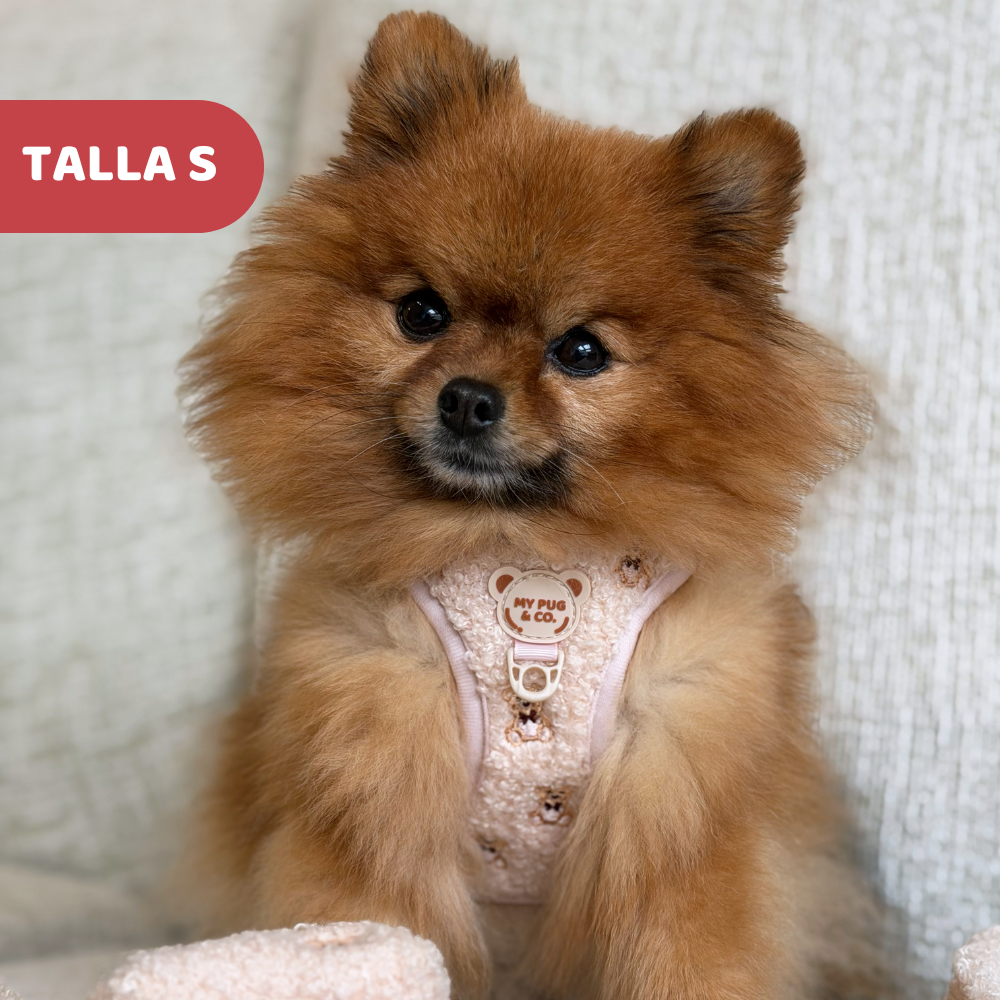 Teddy-Körpergeschirr