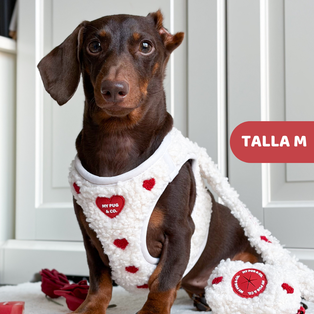 Herz-Körpergeschirr