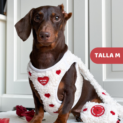 Herz-Körpergeschirr