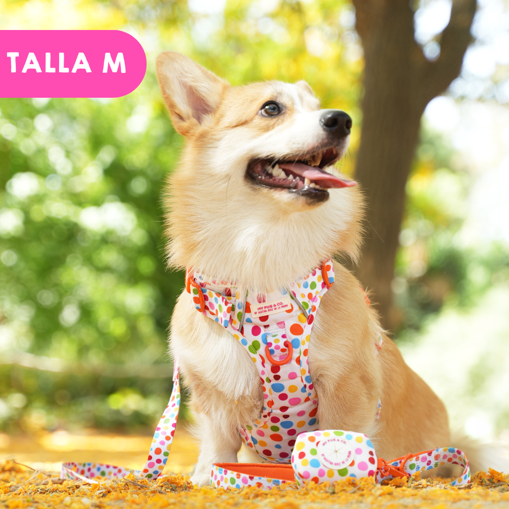 Trail-Hundegeschirr Punkteliebe von Agatha Ruiz de la Prada