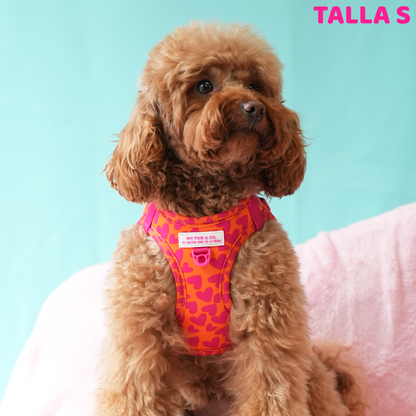 Herz-Körpergeschirr von Agatha Ruiz de la Prada