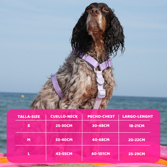 Arnés Ajustable Waterproof Lila
