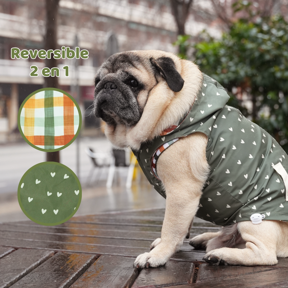 Chubasquero Autumn Picnic