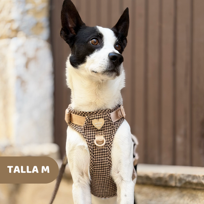 Arnés Todoterreno Pata de Gallo