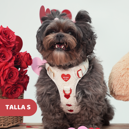 Arnés Todoterreno Corazón