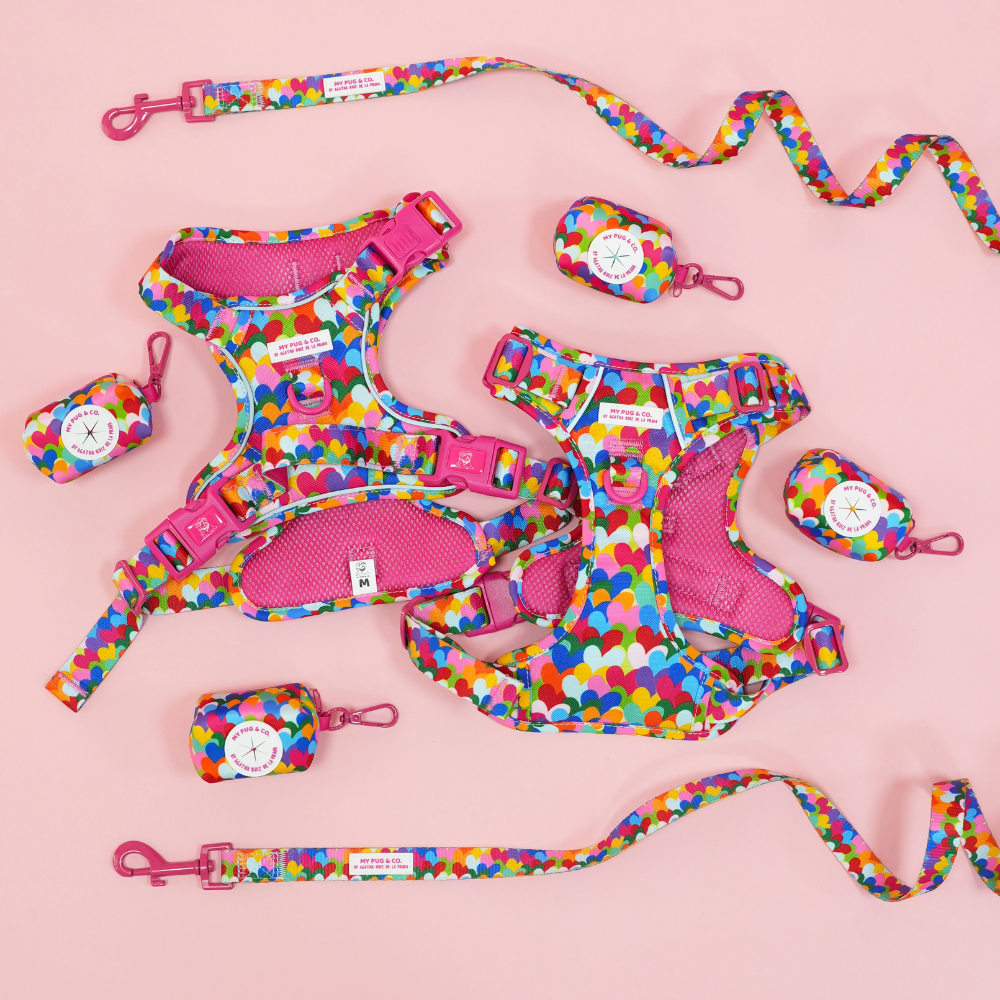 Hearts Trail Harness by Agatha Ruiz de la Prada