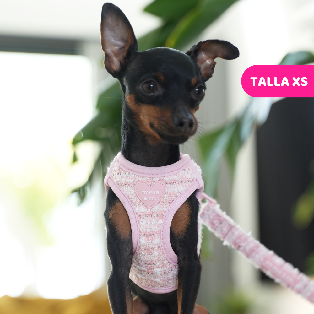 Pink Chic Step-In Harness
