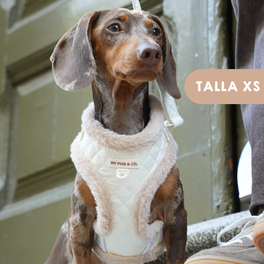 Arnés Ajustable Teddy Luxe