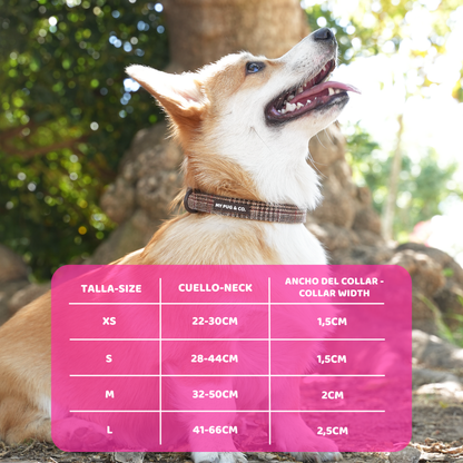 Verstellbares Hundehalsband Tartán