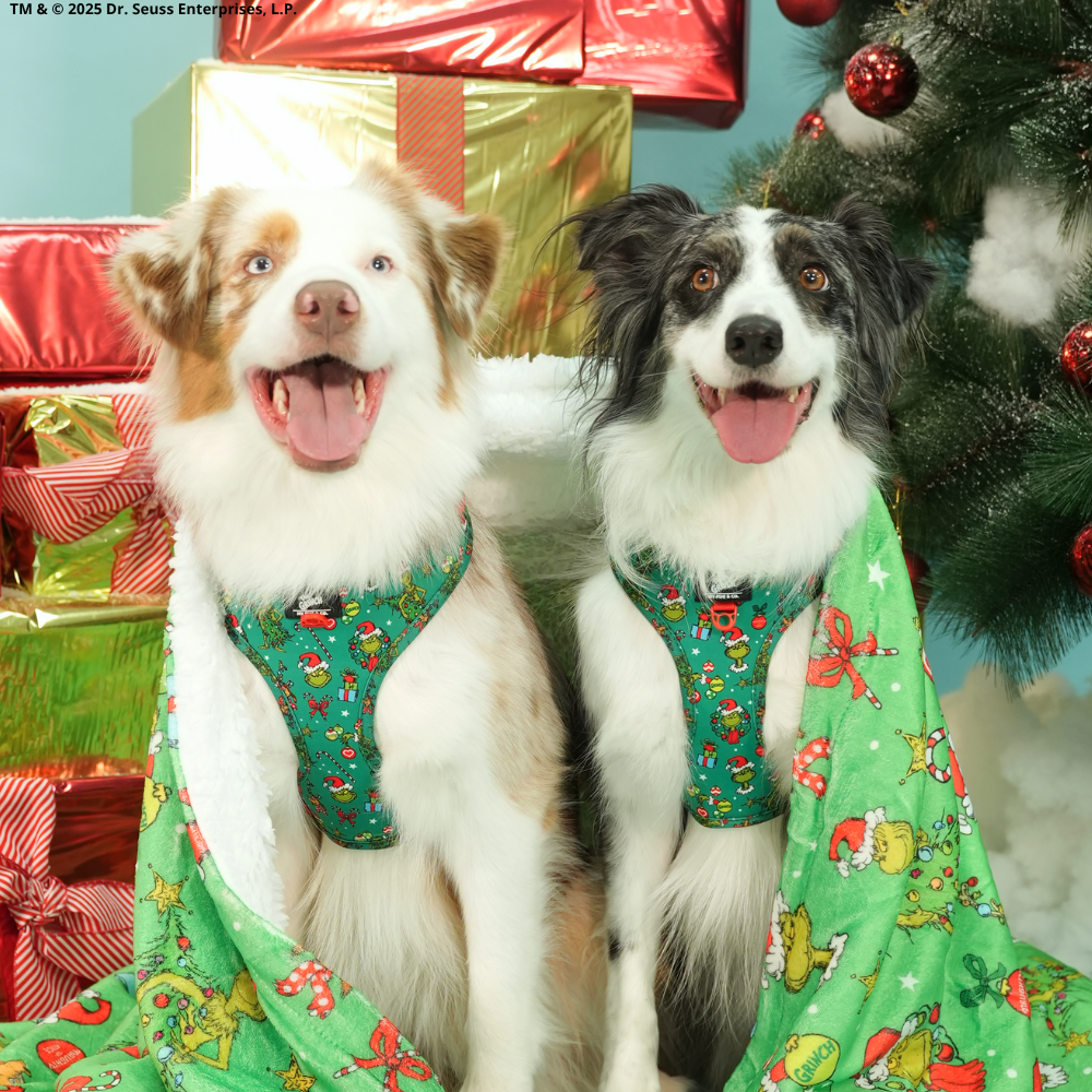 Manta The Grinch Verde