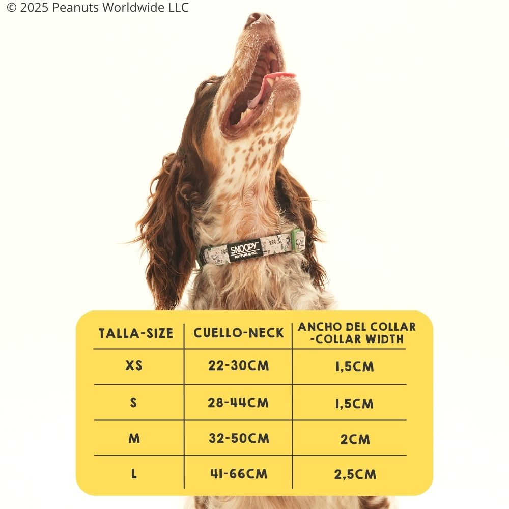 Collar Snoopy™️ Beagle Scout