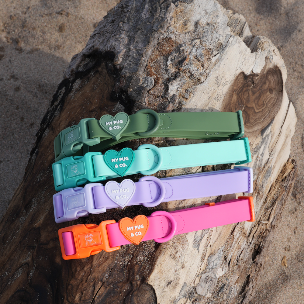 Collar Waterproof Verde