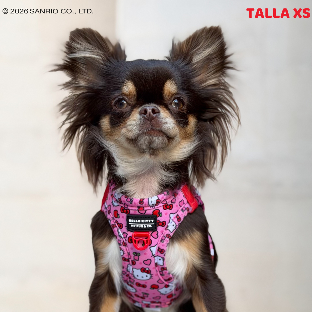 Arnés Body Hello Kitty Pink