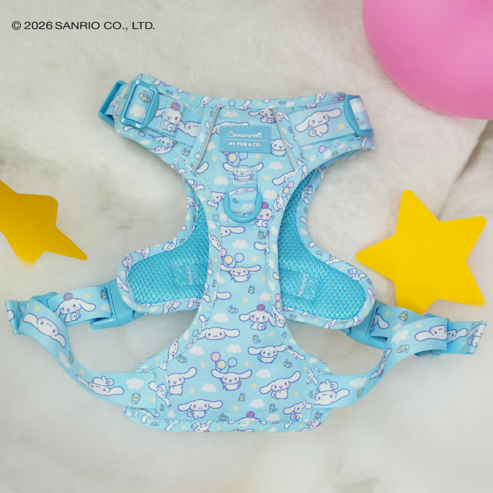 Trail-Hundegeschirr von Cinnamoroll