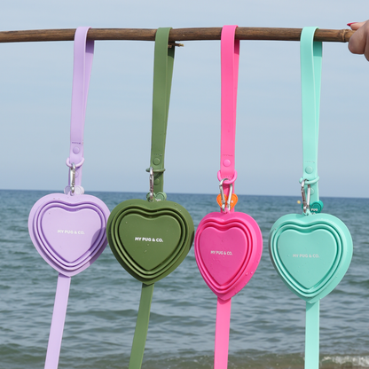 Bebedero Plegable Color Verde