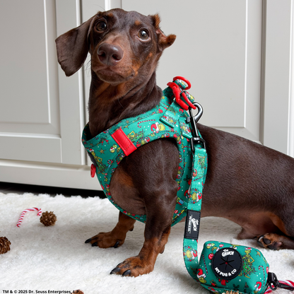 Arnés Body The Grinch Verde