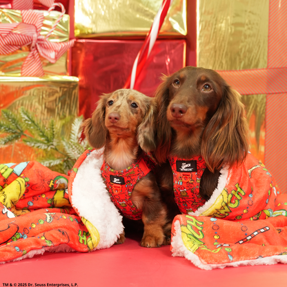 Manta The Grinch Rojo