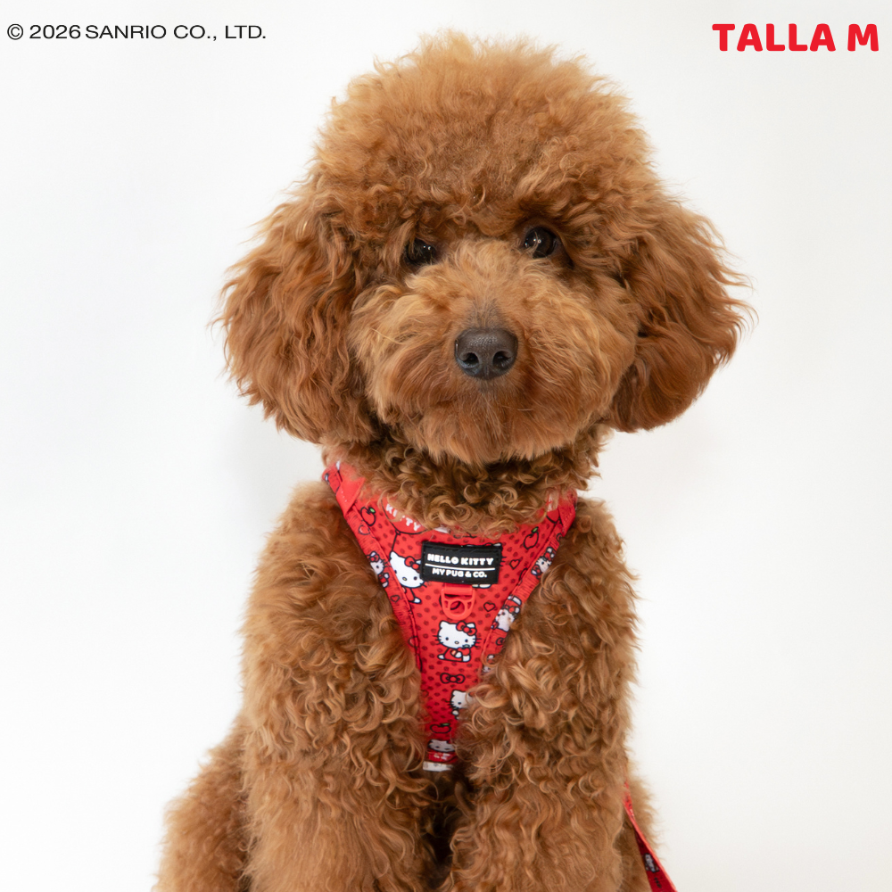 Arnés Body Hello Kitty Red