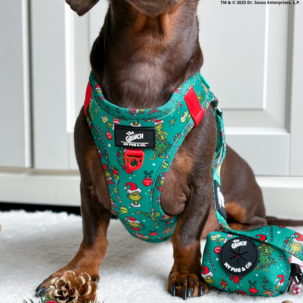 Arnés Body The Grinch Verde