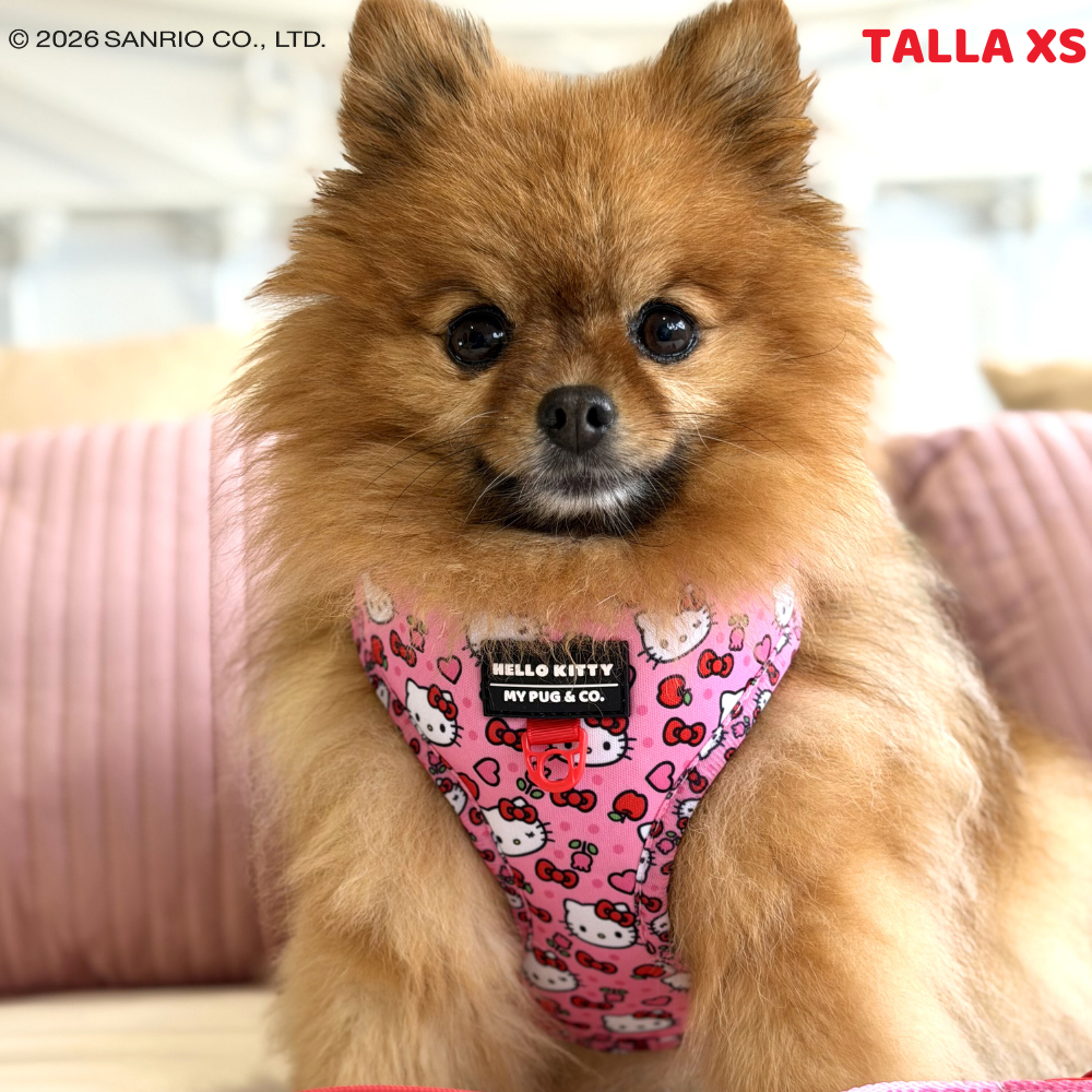 Arnés Ajustable Hello Kitty Pink