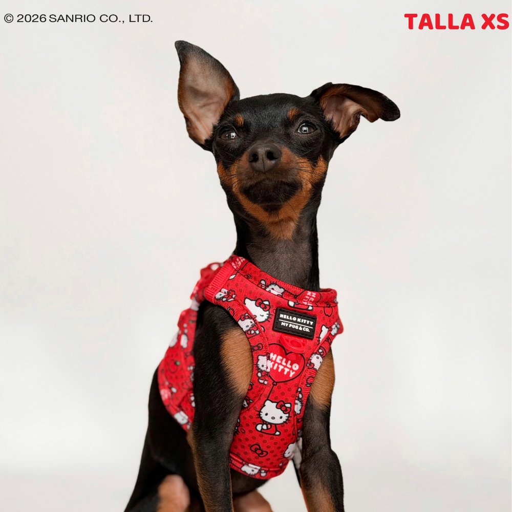 Arnés Body Hello Kitty Red