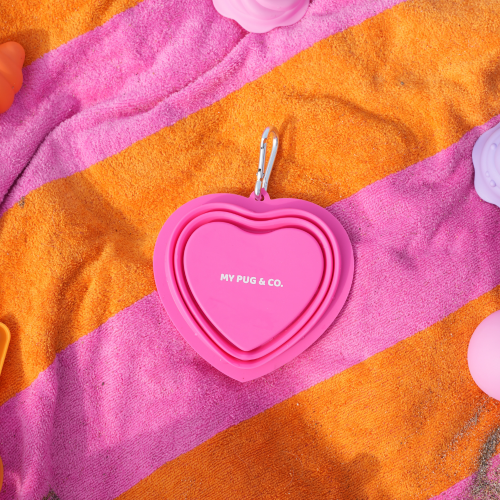 Pink Foldable Drinking Fountain