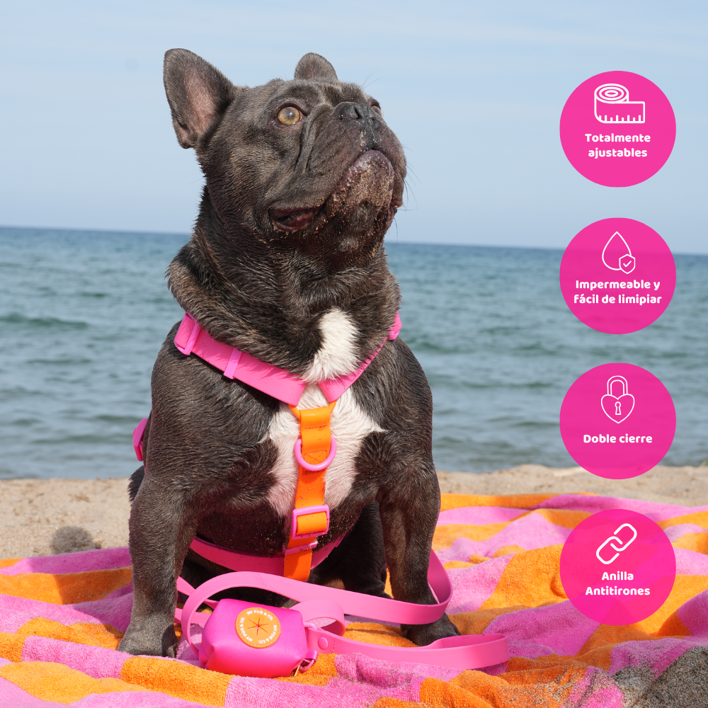 Verstellbares, wasserdichtes Geschirr, pink-orange