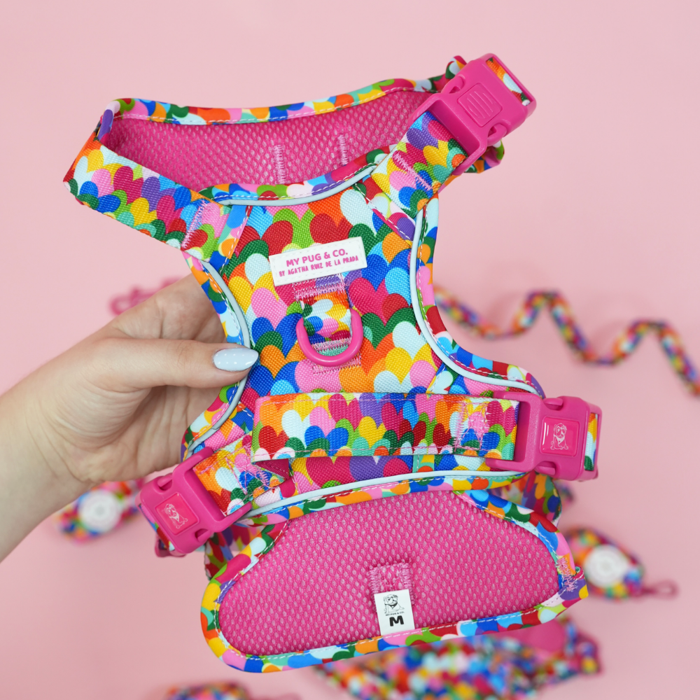 Hearts Trail Harness by Agatha Ruiz de la Prada