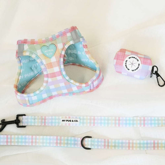 Pack Arnés Body Spring Picnic