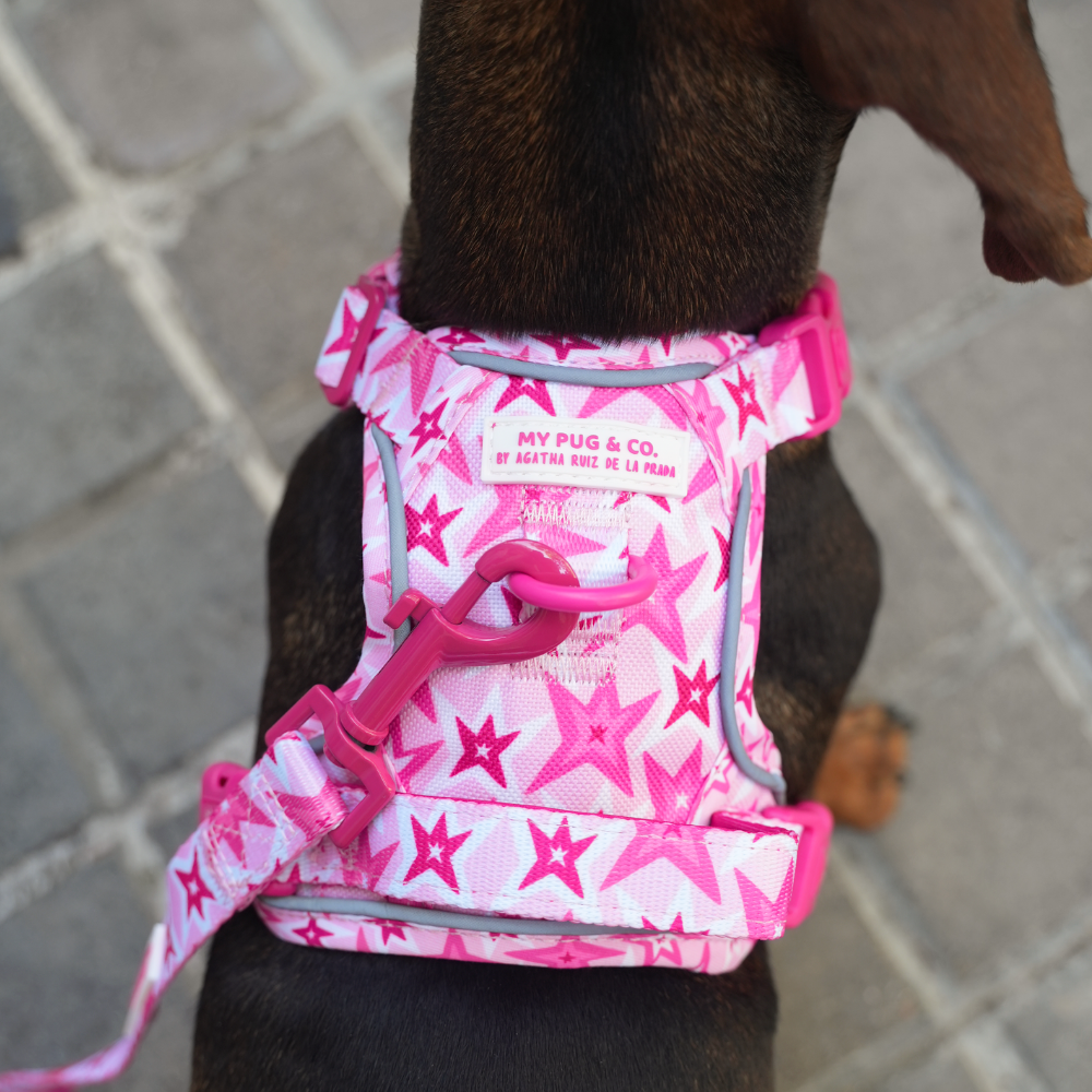 Trail-Hundegeschirr Farbenfrohe Blumen von Agatha Ruiz de la Prada