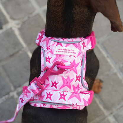 Trail-Hundegeschirr Farbenfrohe Blumen von Agatha Ruiz de la Prada