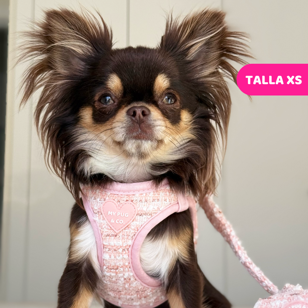 Pink Chic Step-In Harness