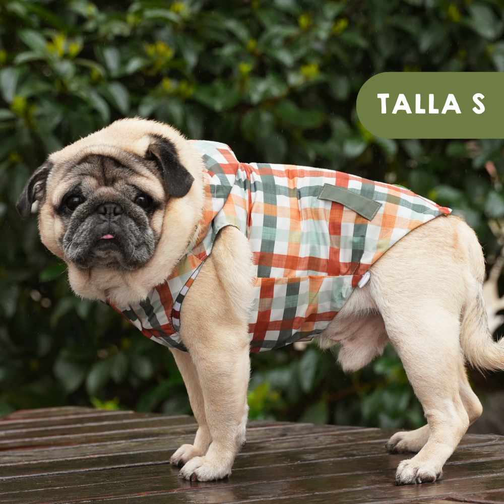 Chubasquero Autumn Picnic