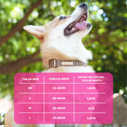 Verstellbares Hundehalsband Pata de Gallo