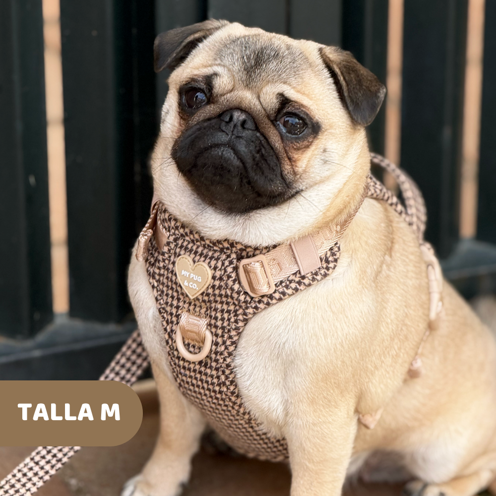 Arnés Todoterreno Pata de Gallo