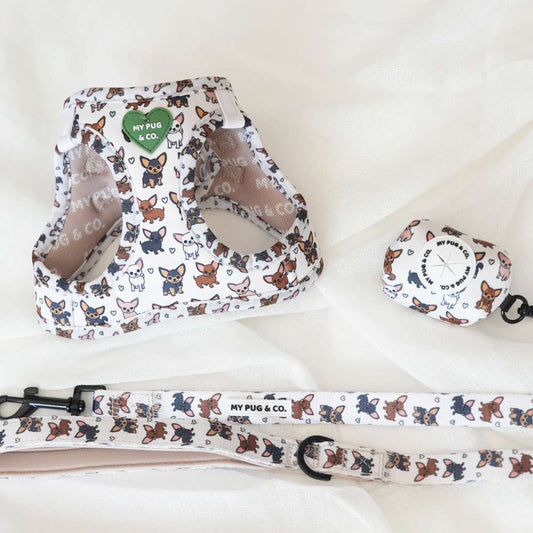 Pack Arnés Body Chihuahua
