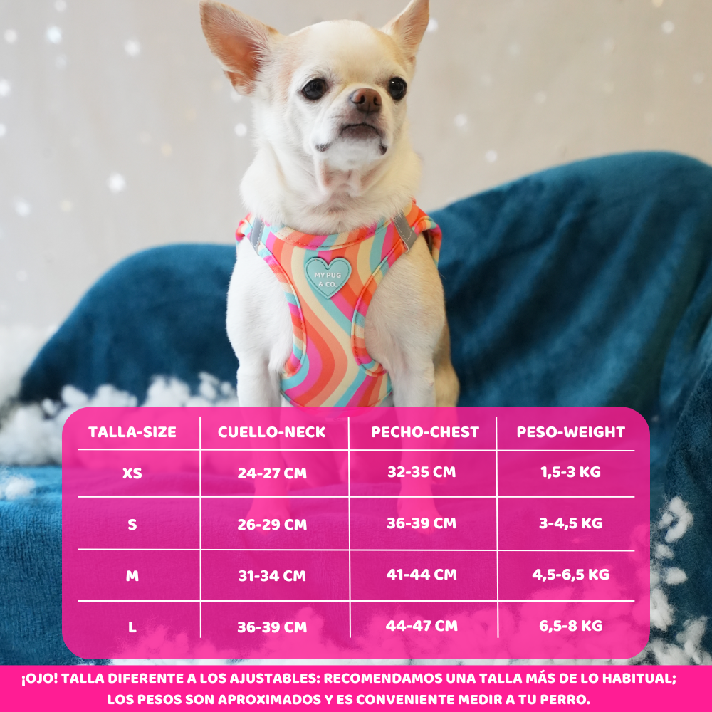 Lollipop Step In Harness