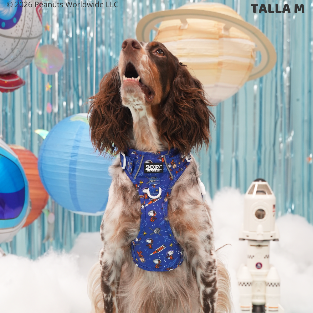 Space Trail Harness by Snoopy™️