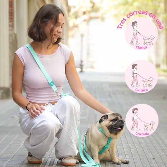 Handsfree Waterproof Leash - Turquoise 