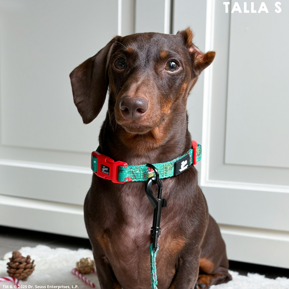 Collar The Grinch Verde
