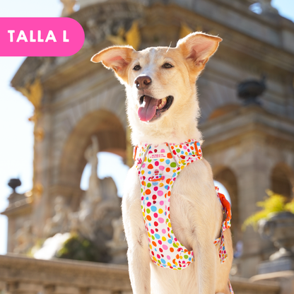 Trail-Hundegeschirr Punkteliebe von Agatha Ruiz de la Prada
