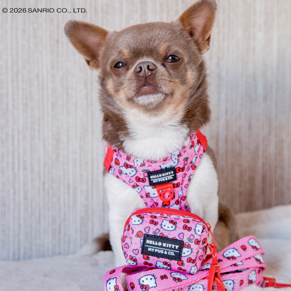 Arnés Body Hello Kitty Pink