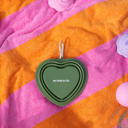 Bebedero Plegable Color Verde