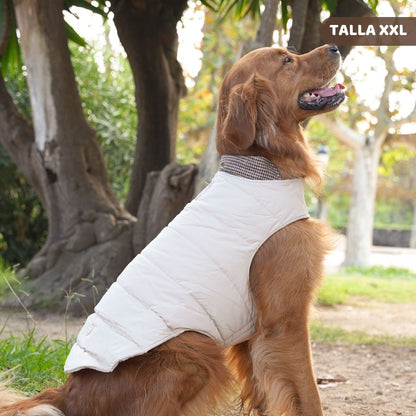 Abrigo Pata de Gallo para perros de My Pug & Co