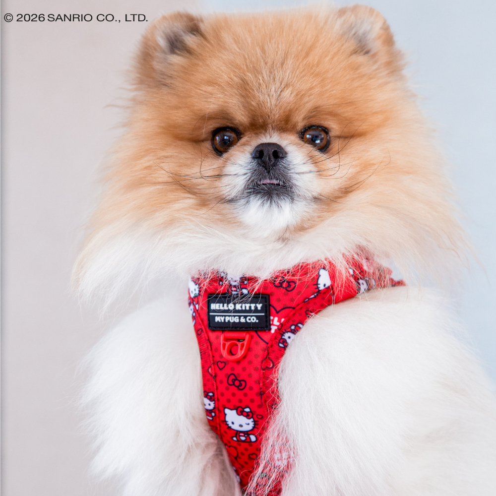 Arnés Body Hello Kitty Red