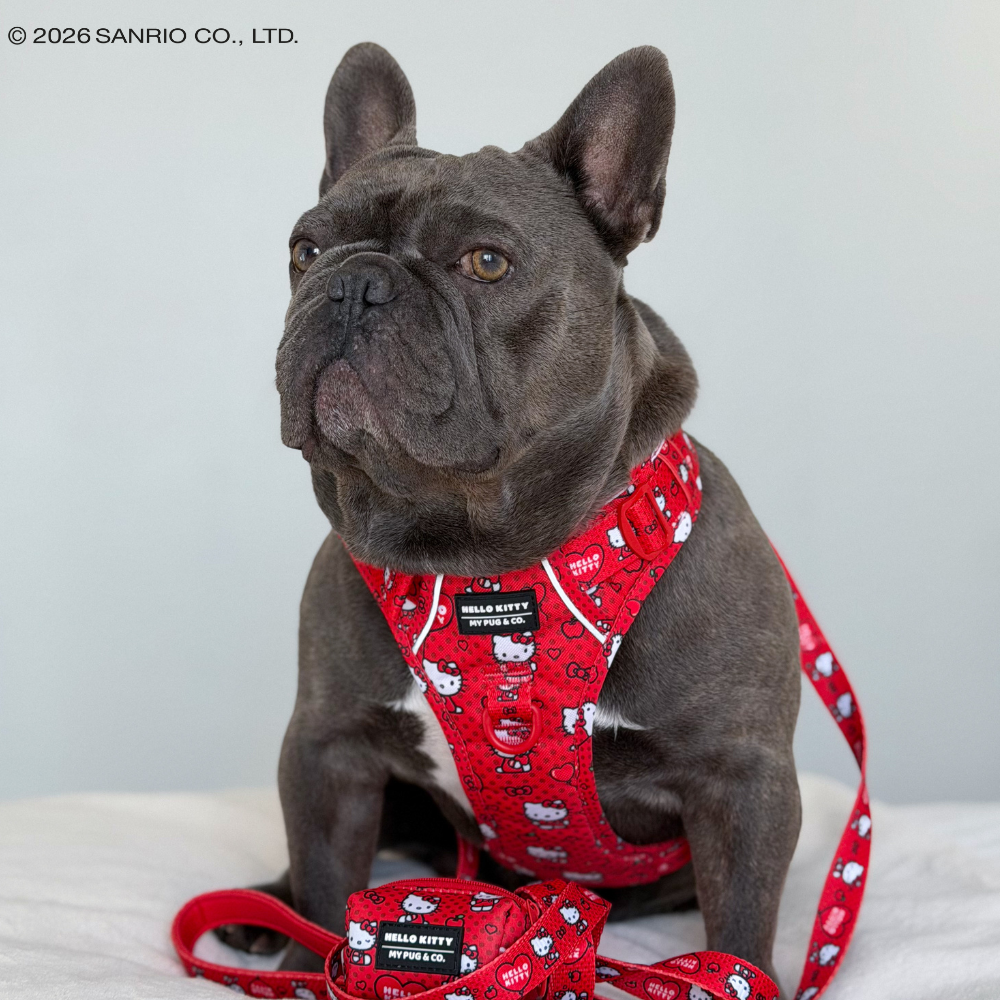 Arnés Todoterreno Hello Kitty Red