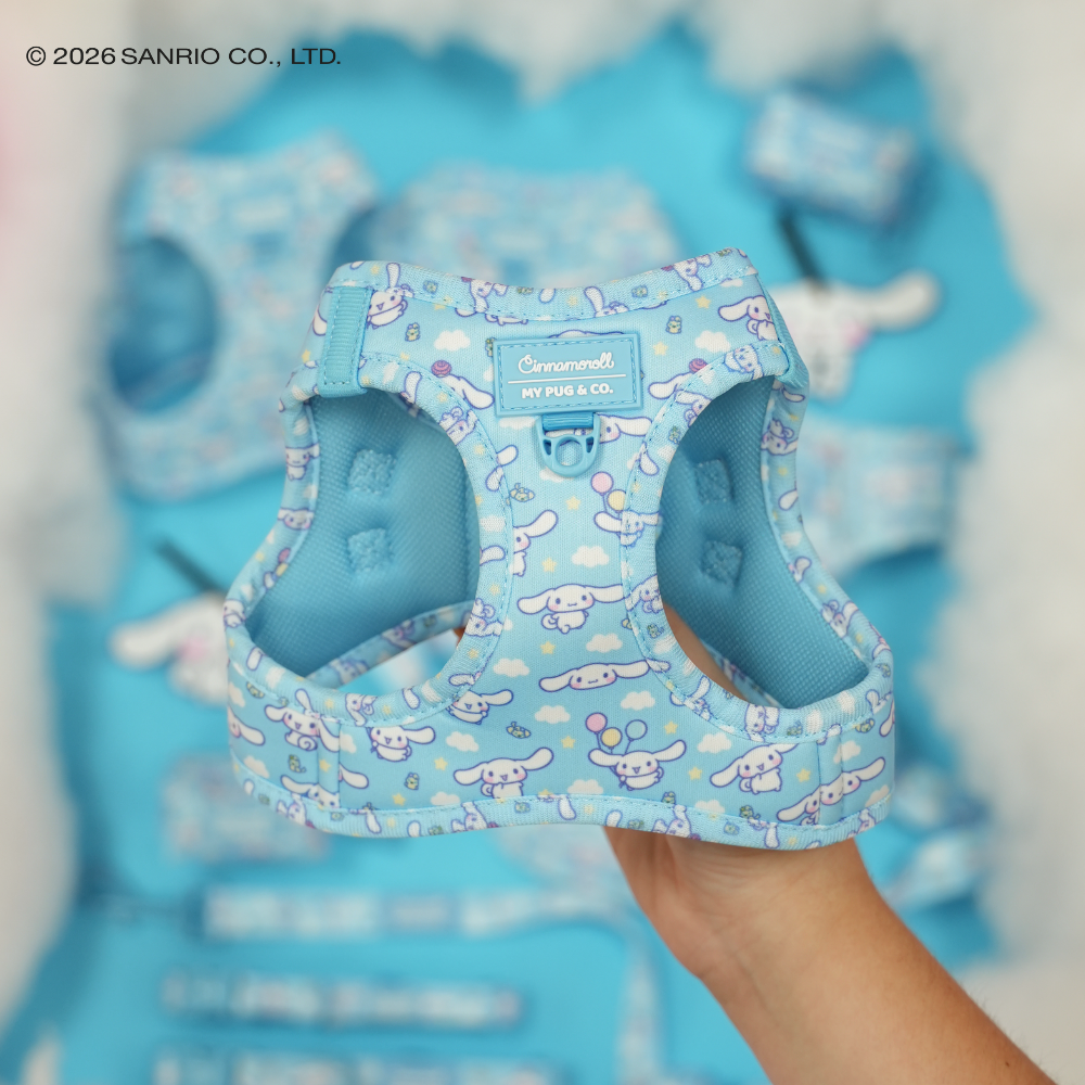 Step-in Hundegeschirr von Cinnamoroll
